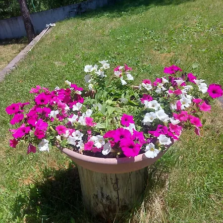 Aparthotel Sogno Di Montagna Pescasseroli